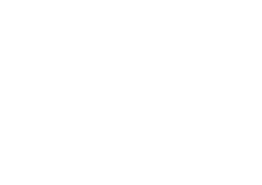 non solo fast logo
